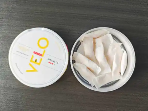 shop velo nicotine Pouches top brands china factory wholesale