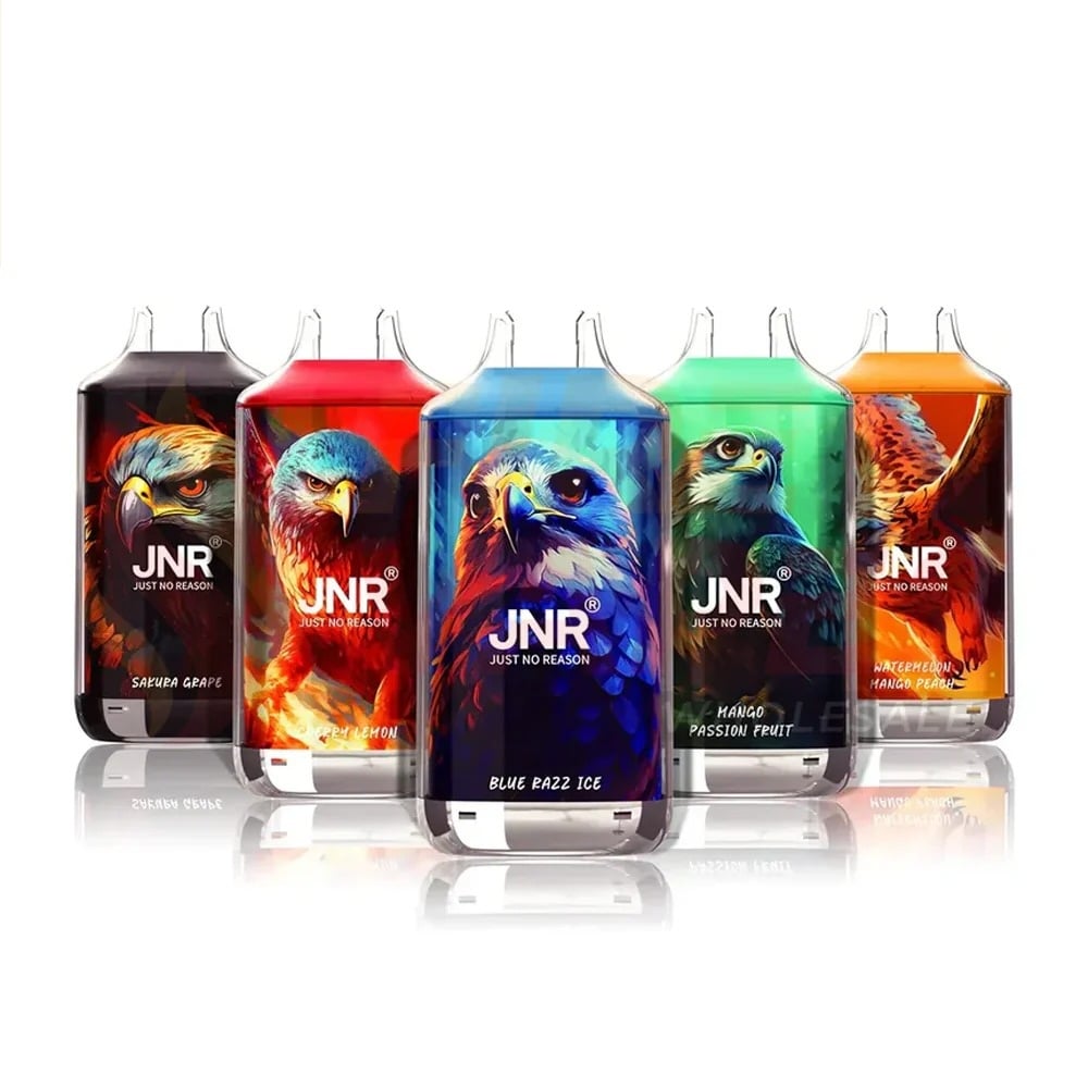 JNRFalconX-18000PuffsDisposableVape_Boxof10.jpeg JNRFalconX VaperSourcing
