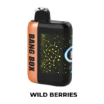 BANG BOX TURBO 30K to 42K Puffs Disposable Vape Device